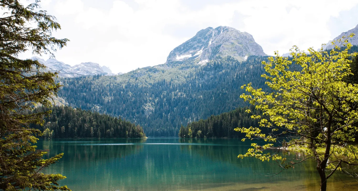 Crno Jezero (Black Lake) surrounded by pine forests and mountains in Durmitor National Park, Montenegro.